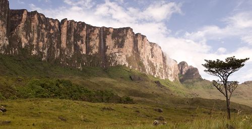 Fotografia de Allen Craig - Galeria Fotografica: Naturaleza - Foto: Parque Roraima, Venezuela