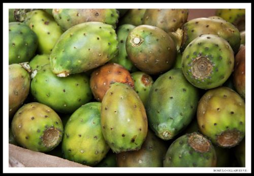 Fotografia de ollarves retratos profesionales y artisticos - Galeria Fotografica: 