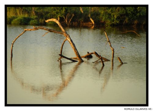 Fotografia de ollarves retratos profesionales y artisticos - Galeria Fotografica: 