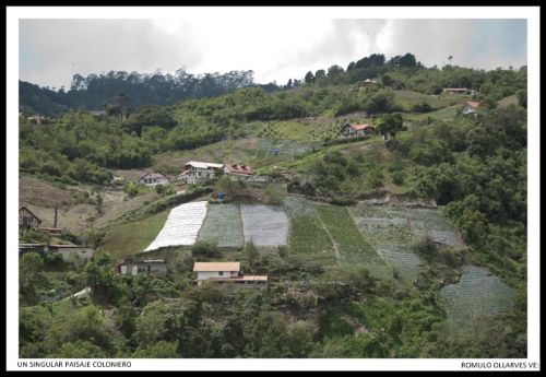 Fotografia de ollarves retratos profesionales y artisticos - Galeria Fotografica: 