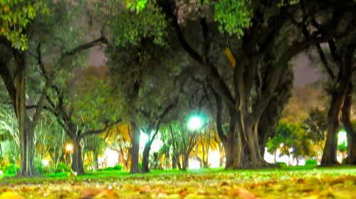 Fotografia de rgpalomino - Galeria Fotografica: Rosario Oct 2011 - Foto: Una Noche loca