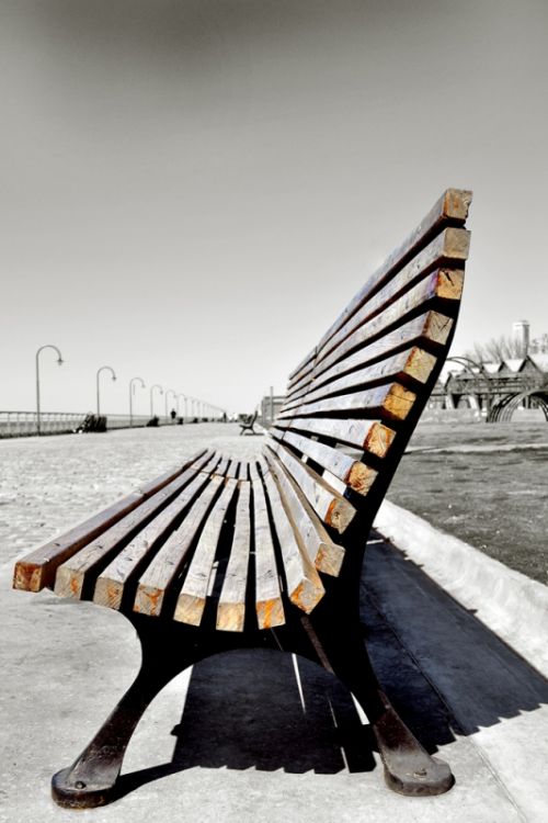 Fotografia de rgpalomino - Galeria Fotografica: Rosario Oct 2011 - Foto: A la espera