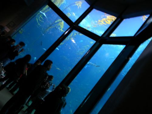 Fotografia de REG - Galeria Fotografica: California - Foto: 