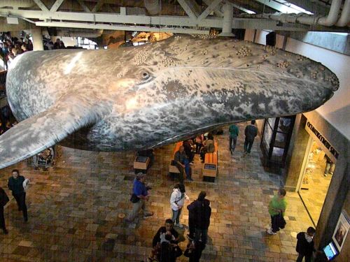 Fotografia de REG - Galeria Fotografica: California - Foto: 