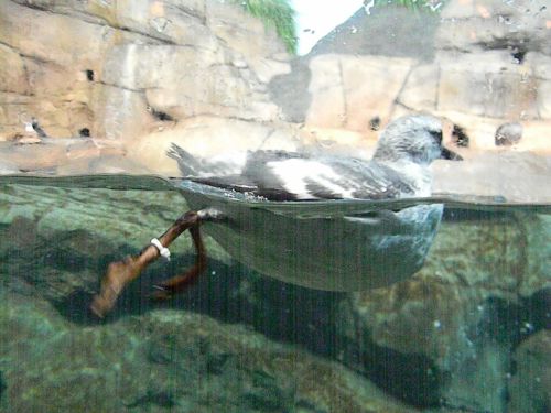 Fotografia de REG - Galeria Fotografica: California - Foto: 