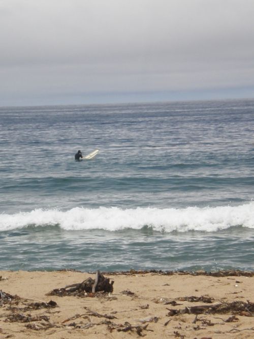 Fotografia de REG - Galeria Fotografica: California - Foto: 