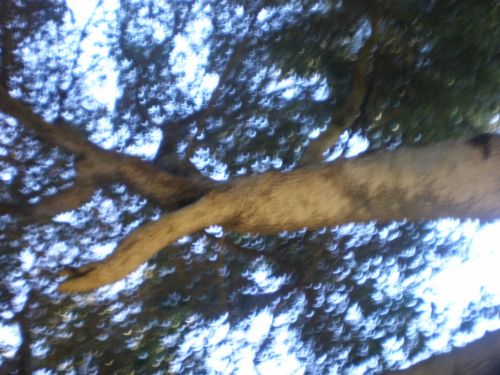 Fotografia de REG - Galeria Fotografica: California - Foto: 