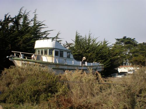 Fotografia de REG - Galeria Fotografica: California - Foto: 