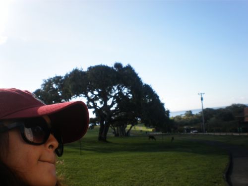 Fotografia de REG - Galeria Fotografica: California - Foto: 