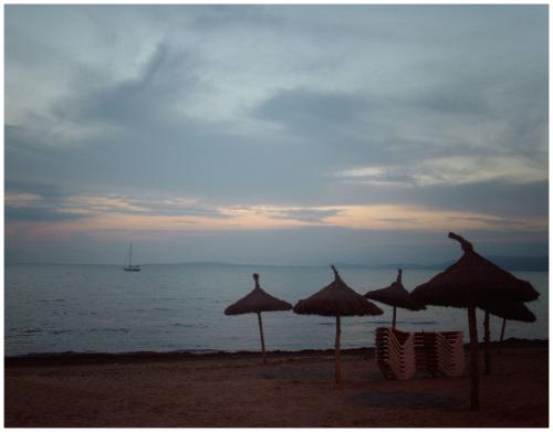 Fotografia de Vida - Galeria Fotografica: Click! - Foto: Atardecer en la Playa