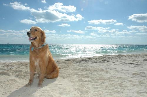 Fotografia de karinastudio - Galeria Fotografica: LUZ - Foto: LA FELICIDAD PURA