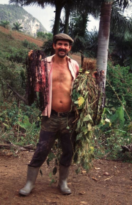 Fotografia de magmamultimedia - Galeria Fotografica: Miradas - Foto: 