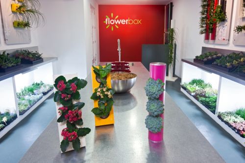 Fotografia de nicneu studio - Galeria Fotografica: Book arquitectura - Foto: 