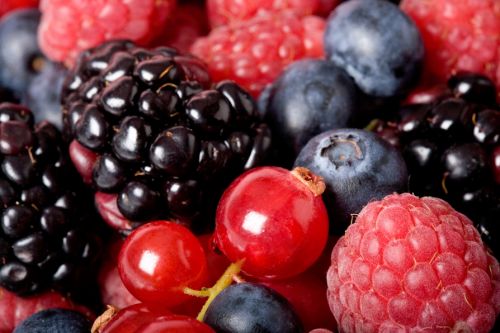 Fotografia de nicneu studio - Galeria Fotografica: Bodegn - Foto: 