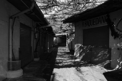 Fotografia de Johnny - Galeria Fotografica: ENCANTS VELLS - Foto: 