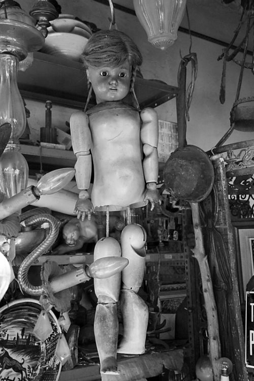 Fotografia de Johnny - Galeria Fotografica: ENCANTS VELLS - Foto: 