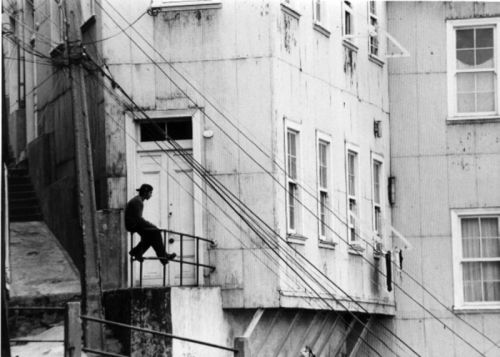 Fotografia de Alejandro Ruz Imagen - Galeria Fotografica: Alejandro Ruz Imagen - Foto: 