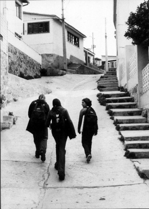 Fotografia de Alejandro Ruz Imagen - Galeria Fotografica: Alejandro Ruz Imagen - Foto: 