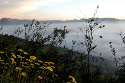 Fotografia de Alejandro Ruz Imagen - Galeria Fotografica: Alejandro Ruz Imagen - Foto: 