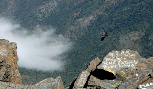 Fotografia de Alejandro Ruz Imagen - Galeria Fotografica: Alejandro Ruz Imagen - Foto: 