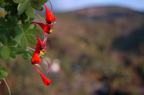 Fotografia de Alejandro Ruz Imagen - Galeria Fotografica: Alejandro Ruz Imagen - Foto: 