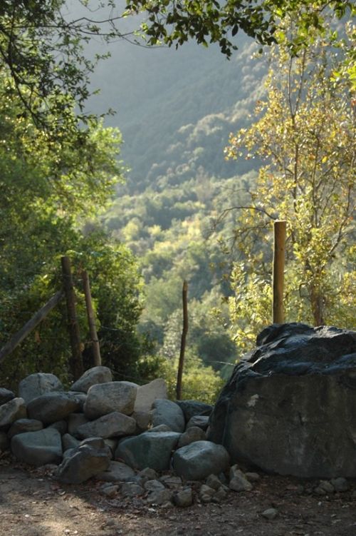 Fotografia de Alejandro Ruz Imagen - Galeria Fotografica: Alejandro Ruz Imagen - Foto: 