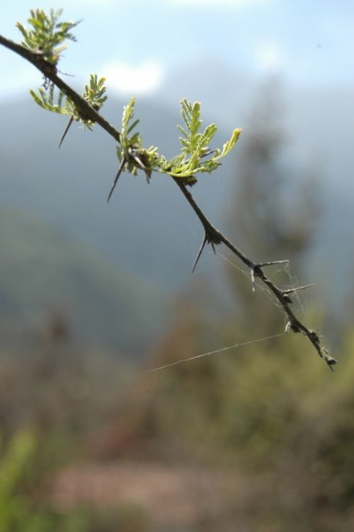 Fotografia de Alejandro Ruz Imagen - Galeria Fotografica: Alejandro Ruz Imagen - Foto: 