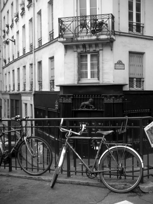 Fotografia de Alejandro Ruz Imagen - Galeria Fotografica: Alejandro Ruz Imagen - Foto: 