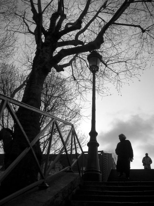 Fotografia de Alejandro Ruz Imagen - Galeria Fotografica: Alejandro Ruz Imagen - Foto: 