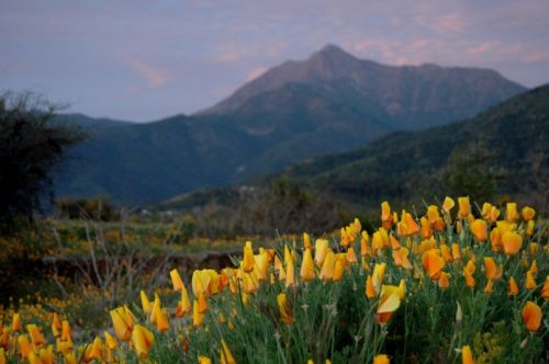 Fotografia de Alejandro Ruz Imagen - Galeria Fotografica: Alejandro Ruz Imagen - Foto: 