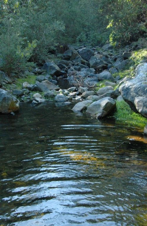 Fotografia de Alejandro Ruz Imagen - Galeria Fotografica: Alejandro Ruz Imagen - Foto: 