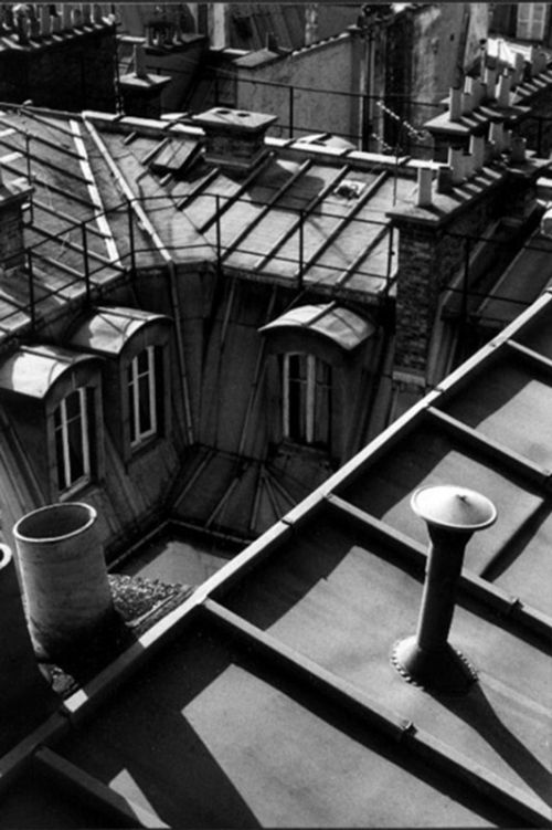 Fotografia de Alejandro Ruz Imagen - Galeria Fotografica: Alejandro Ruz Imagen - Foto: 