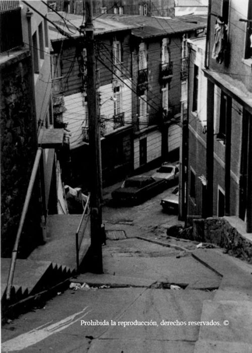 Fotografia de Alejandro Ruz Imagen - Galeria Fotografica: Alejandro Ruz Imagen - Foto: 