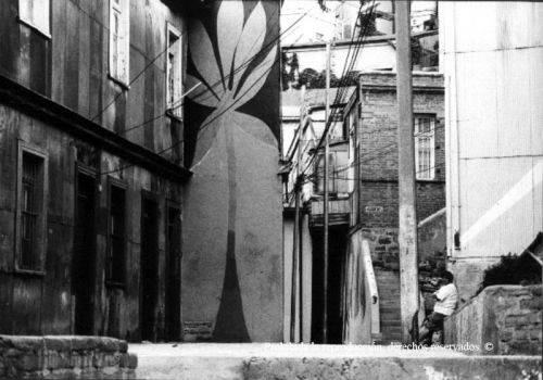 Fotografia de Alejandro Ruz Imagen - Galeria Fotografica: Alejandro Ruz Imagen - Foto: 