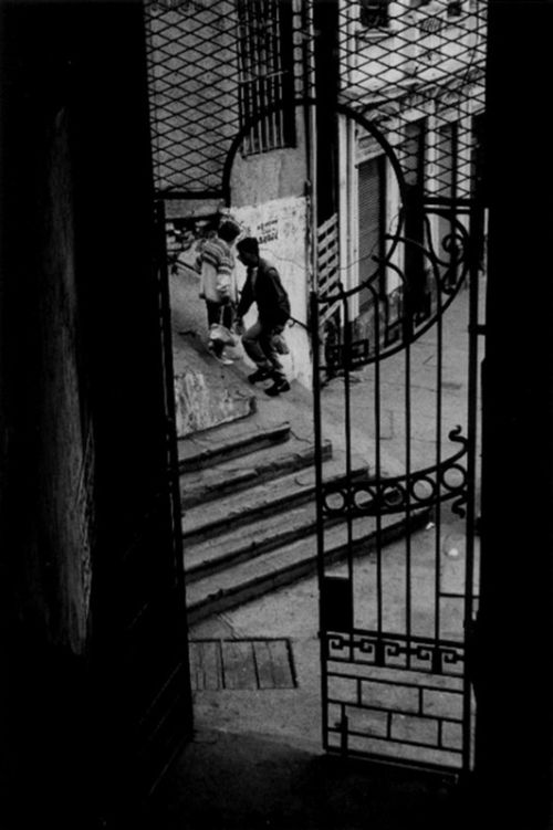 Fotografia de Alejandro Ruz Imagen - Galeria Fotografica: Alejandro Ruz Imagen - Foto: 