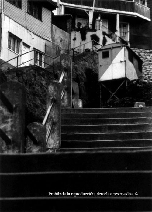 Fotografia de Alejandro Ruz Imagen - Galeria Fotografica: Alejandro Ruz Imagen - Foto: 