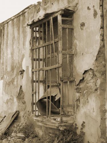 Fotografia de Sanguino - Galeria Fotografica: Ojos blandos - Foto: Tiempo