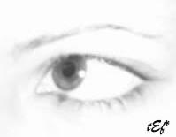 Fotografia de tef - Galeria Fotografica: algo - Foto: veo?