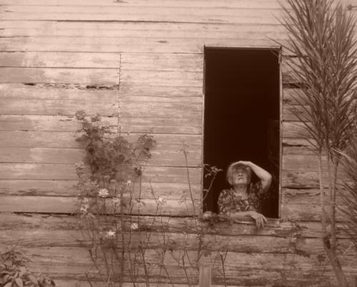 Fotografia de Danna - Galeria Fotografica: Cruda realidad - Foto: En busca de un sol naciente