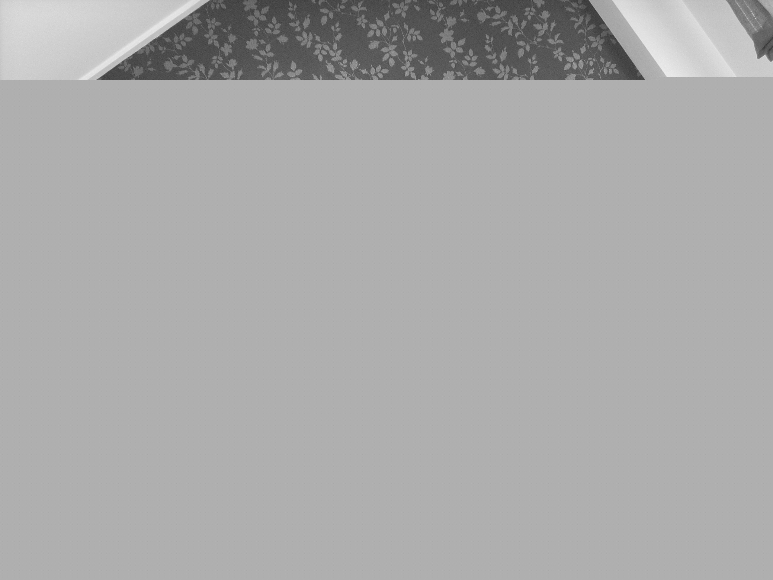 Fotografia de Soraya - Galeria Fotografica: ●..ѕσяαуα...● - Foto: sora 8