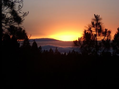 Fotografia de fracis. - Galeria Fotografica: puesta de sol - Foto: atardecer