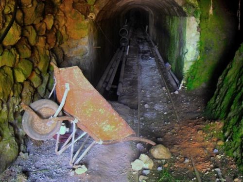 Fotografia de fracis. - Galeria Fotografica: galeria. - Foto: galeria