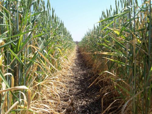 Fotografia de ATILIO GONZALEZ - Galeria Fotografica: PAISAJES VARIOS - Foto: 