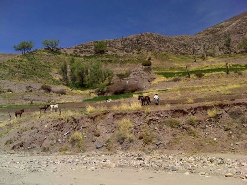 Fotografia de ATILIO GONZALEZ - Galeria Fotografica: PAISAJES VARIOS - Foto: 