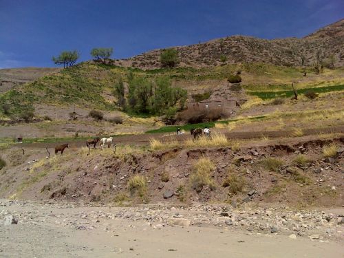 Fotografia de ATILIO GONZALEZ - Galeria Fotografica: PAISAJES VARIOS - Foto: 