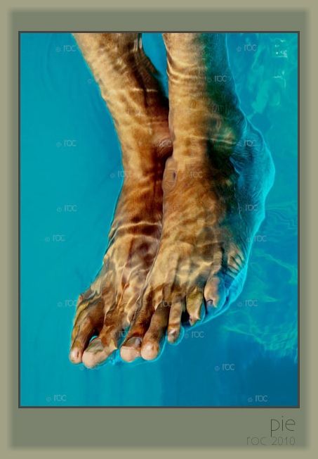 Fotografia de roc fotoIlustracion - Galeria Fotografica: deNatura - Foto: 