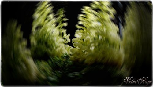 Fotografia de click photo & design - Galeria Fotografica: respirando naturaleza - Foto: deep