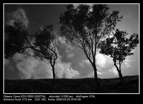 Fotografia de Daniel A. Rodrguez Snchez - Galeria Fotografica: B/N - Foto: DESTELLO