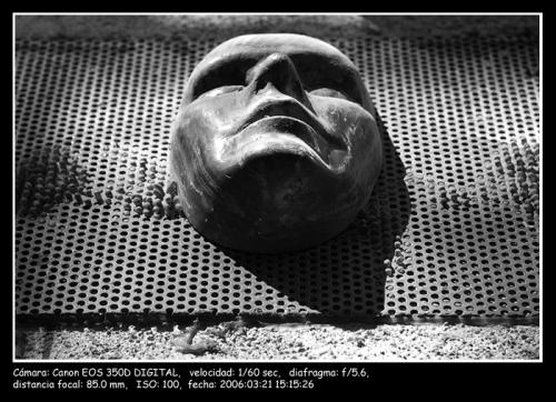 Fotografia de Daniel A. Rodrguez Snchez - Galeria Fotografica: B/N - Foto: LGRIMAS DE BUFN