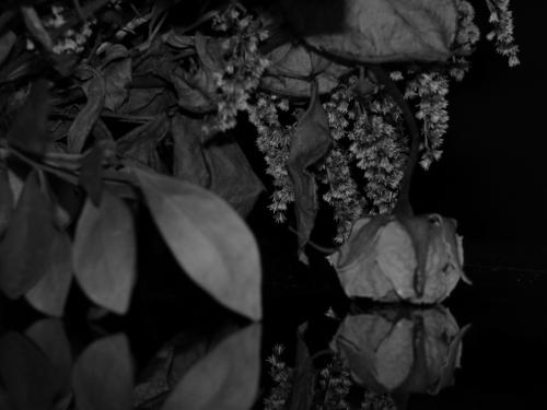 Fotografia de Tessa Calas - Galeria Fotografica: Mis promogenitas - Foto: Me reflejo en ti